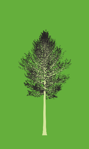 Treee