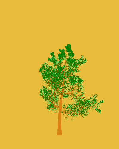 Treee