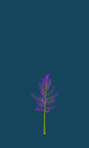 Treee