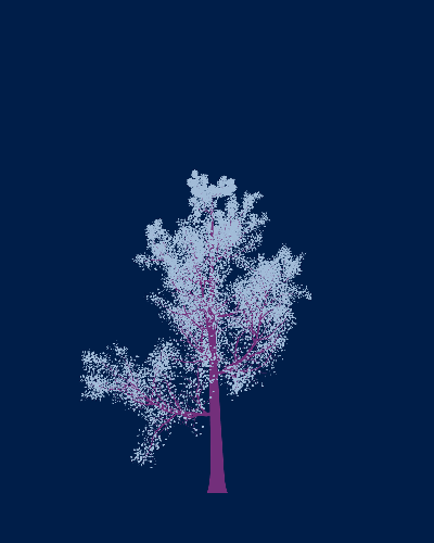 Treee