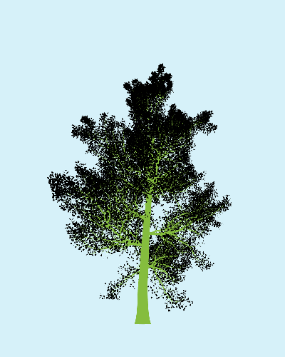 Treee