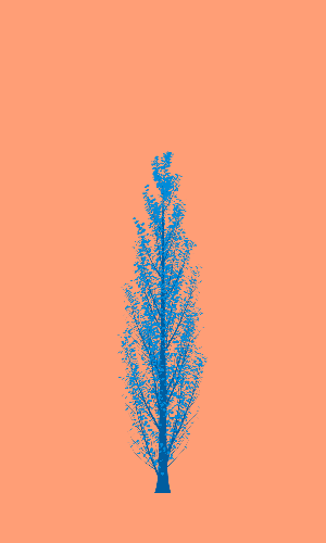Treee