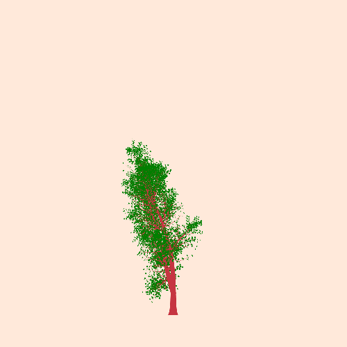 Treee