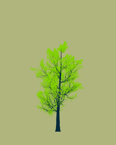 Treee