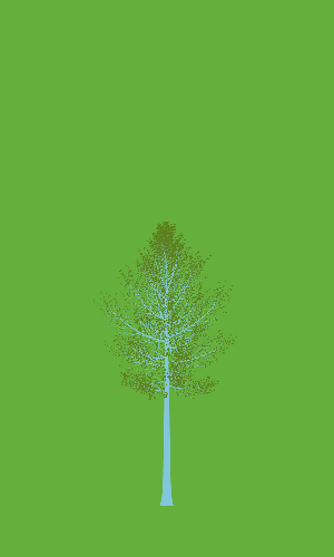 Treee
