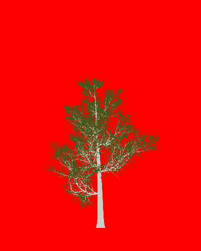 Treee