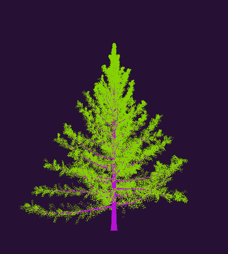 Treee