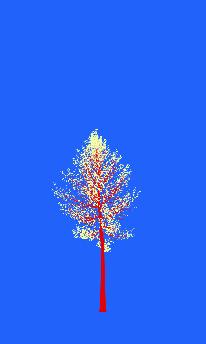 Treee