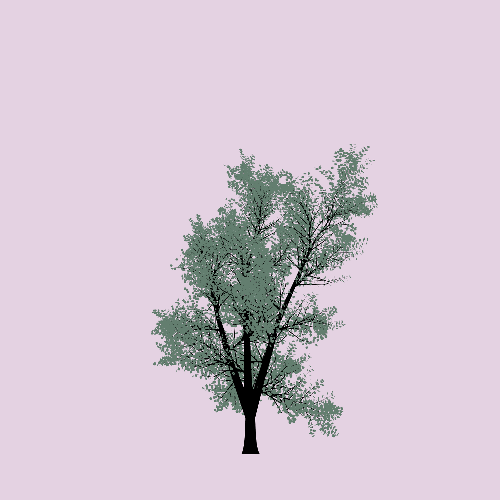 Treee