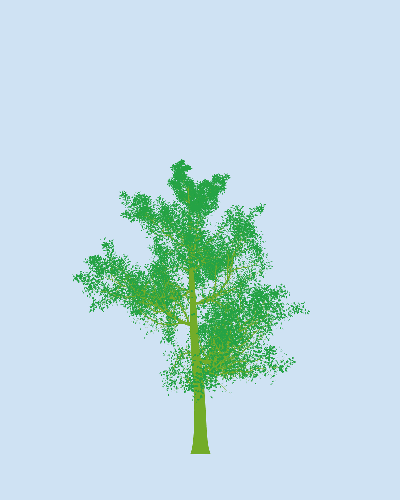 Treee