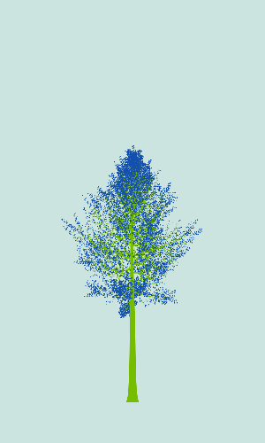 Treee