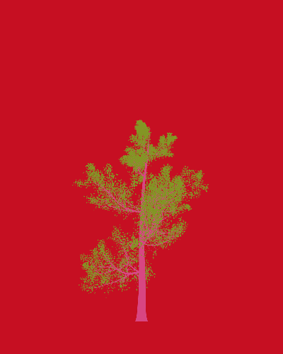 Treee