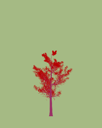 Treee