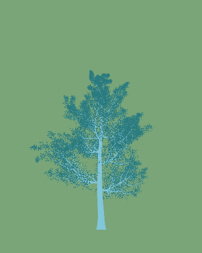 Treee