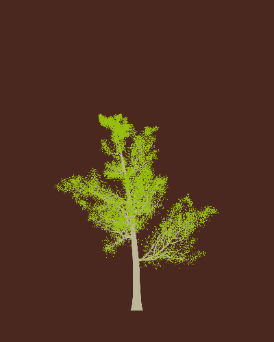 Treee