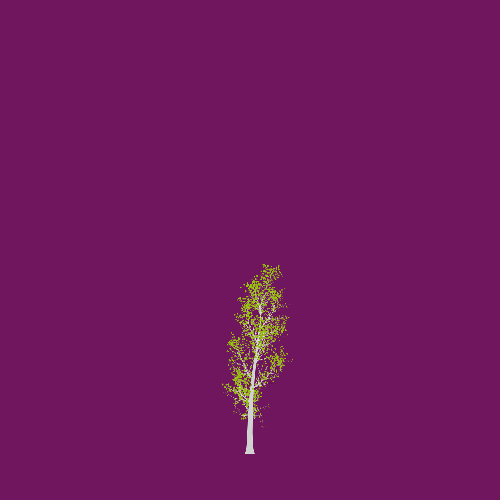 Treee