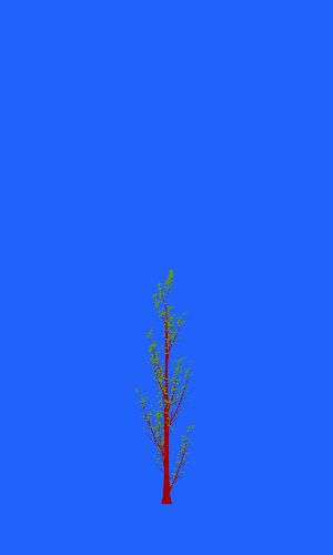 Treee