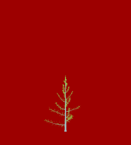 Treee