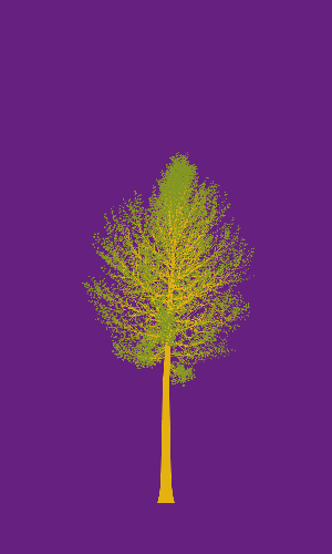 Treee