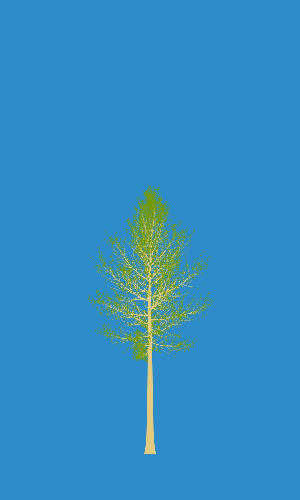 Treee