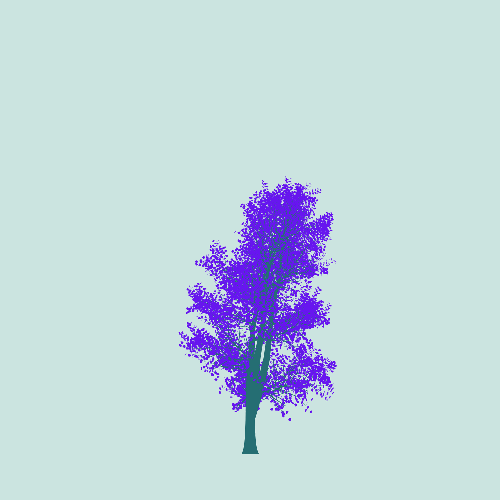 Treee