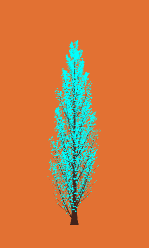 Treee