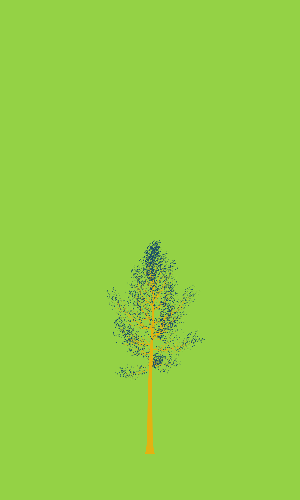 Treee
