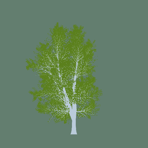 Treee