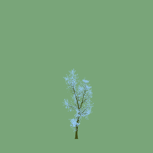 Treee