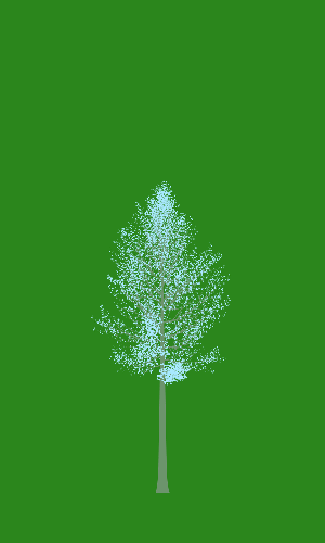 Treee