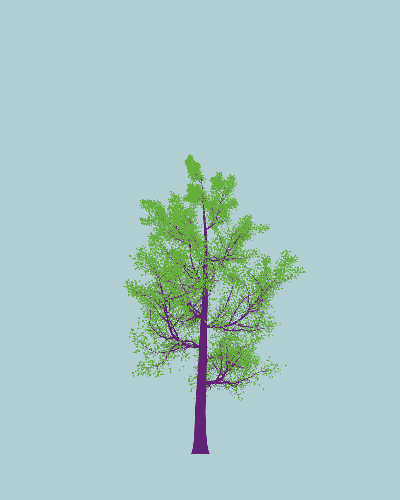 Treee