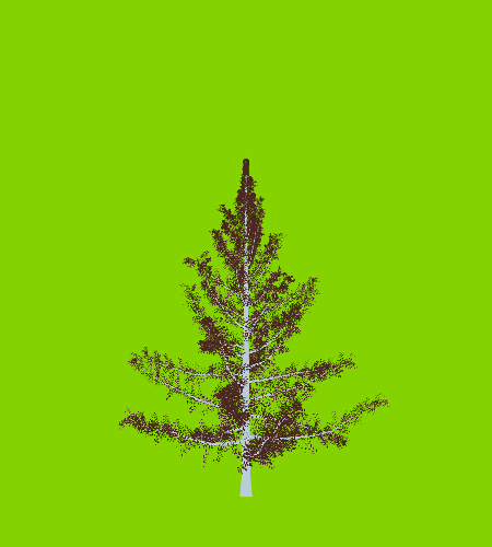 Treee