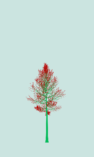 Treee