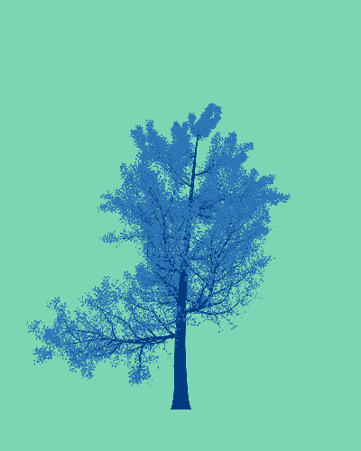Treee