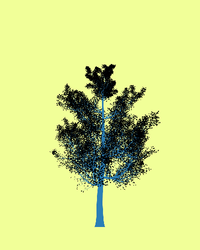 Treee