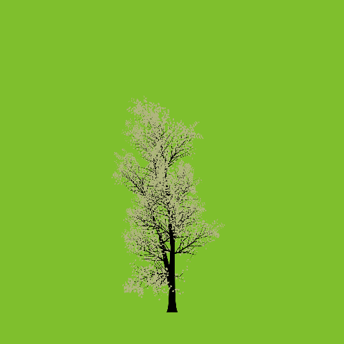 Treee