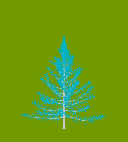 Treee
