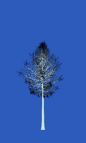 Treee