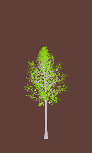 Treee