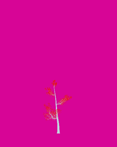 Treee