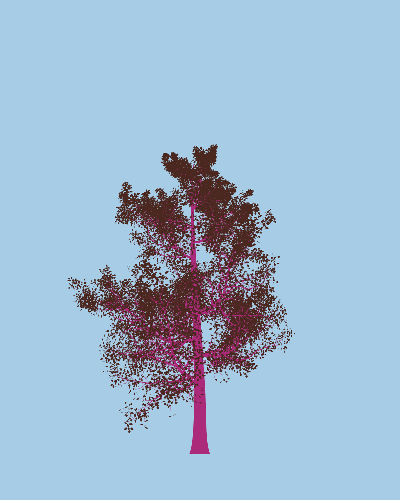 Treee