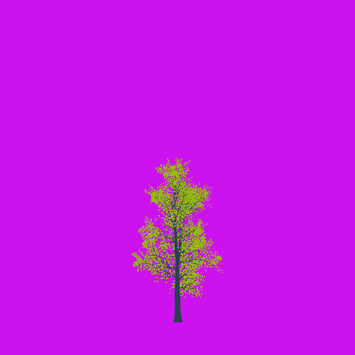 Treee