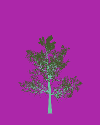 Treee