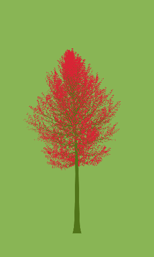 Treee