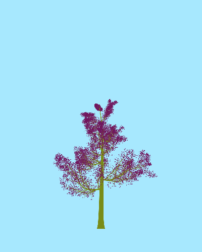 Treee