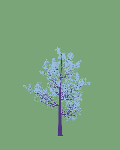 Treee