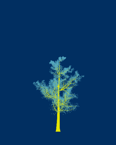 Treee