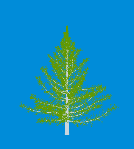 Treee