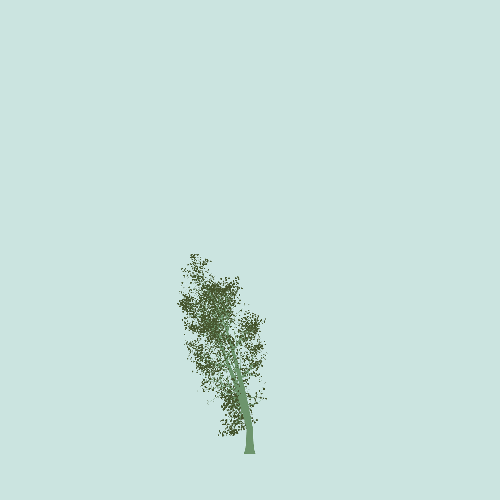Treee