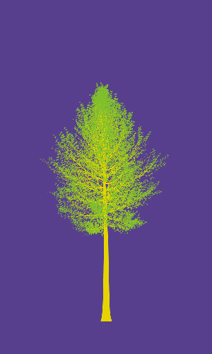 Treee